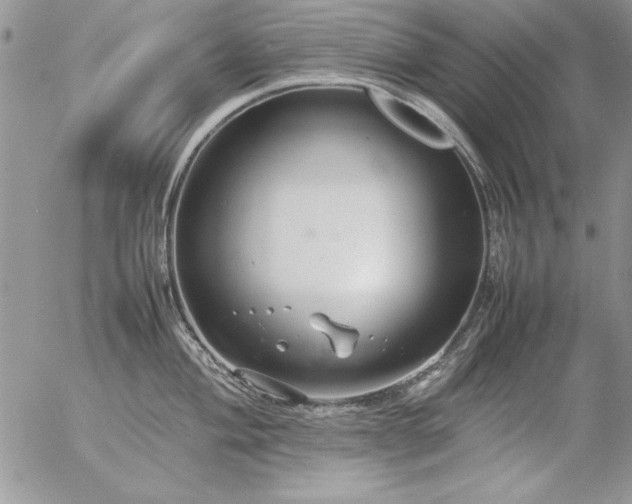 X0000057081004200509091243