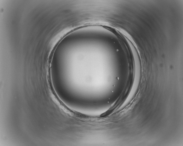 X0000057081005200509091243