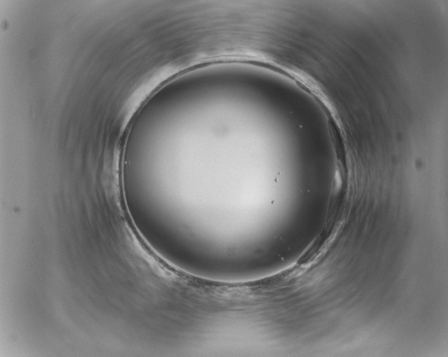 X0000057081006200509091243