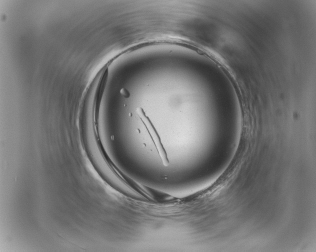 X0000057081007200509091243