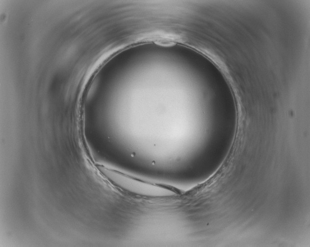 X0000057081008200509091243