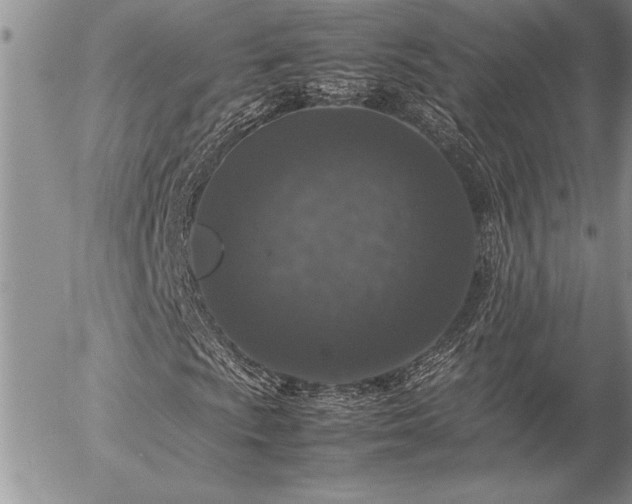 X0000057081009200509091242