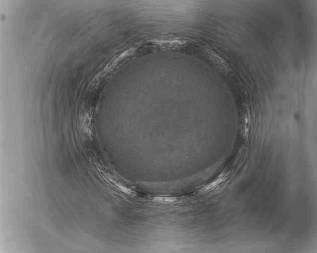 X0000057081010200509091242