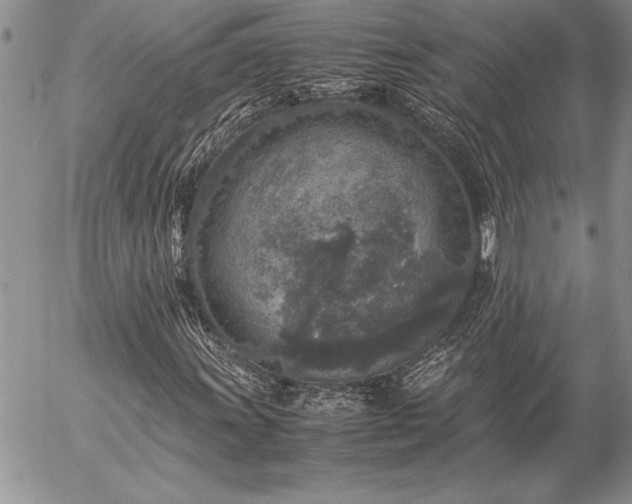 X0000057081011200509091242