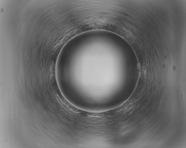 X0000057081012200509091242