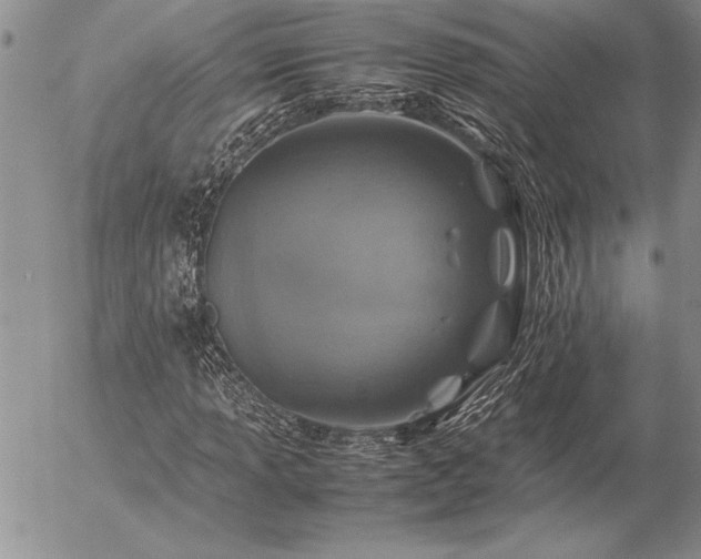 X0000057081013200509091242