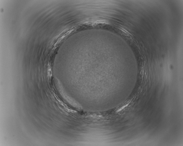 X0000057081014200509091242