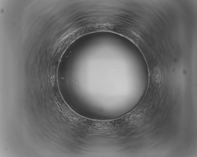 X0000057081015200509091242