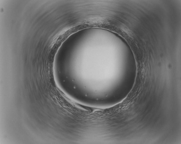 X0000057081016200509091242