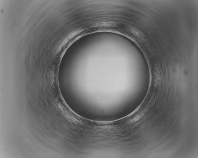 X0000057081017200509091242