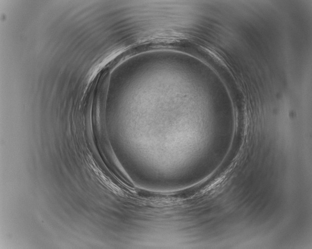 X0000057081018200509091242