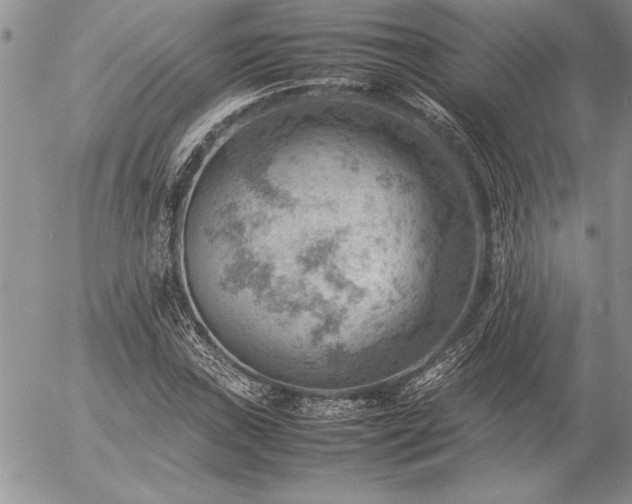 X0000057081019200509091242