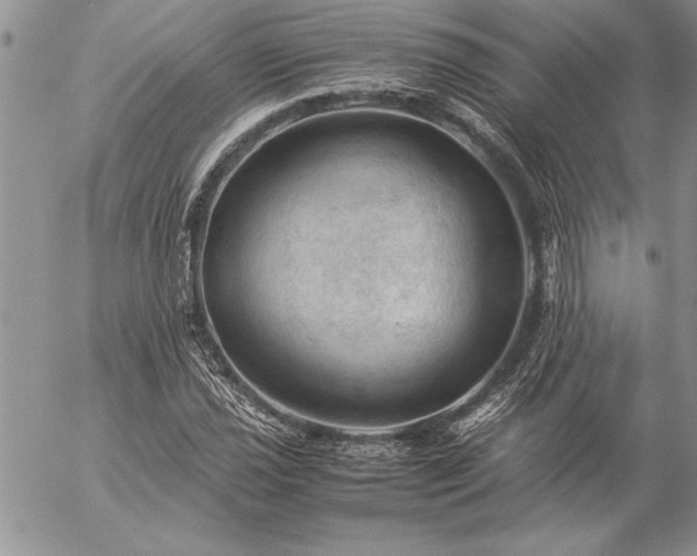 X0000057081021200509091242