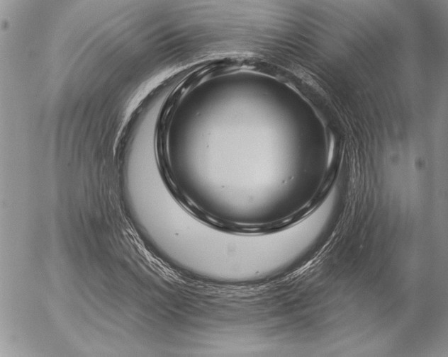 X0000057081022200509091242