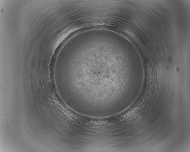 X0000057081023200509091242