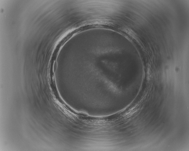 X0000057081024200509091242