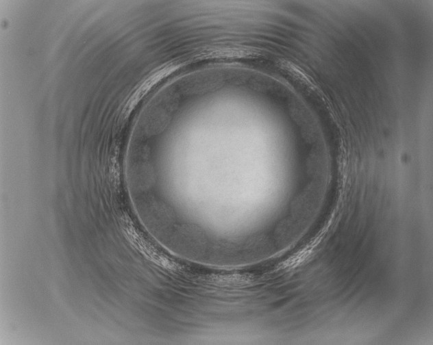 X0000057081025200509091242