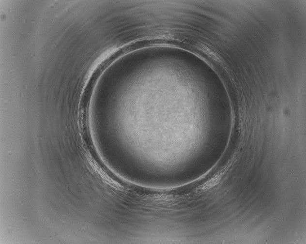 X0000057081029200509091242