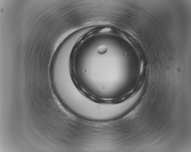 X0000057081030200509091242