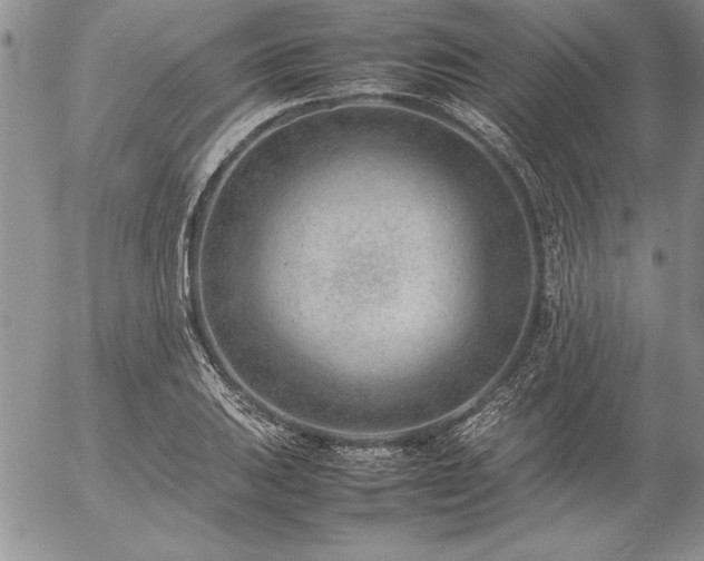 X0000057081031200509091242