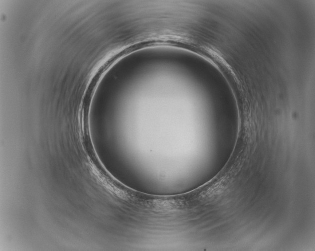 X0000057081032200509091242