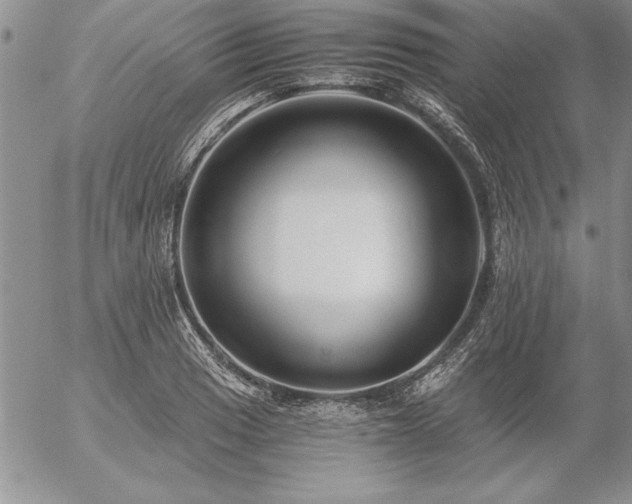 X0000057081033200509091243