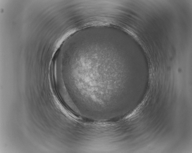 X0000057081034200509091243