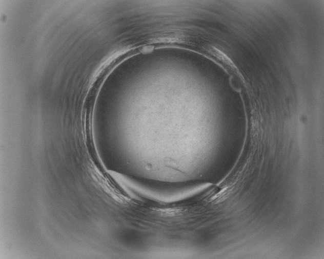 X0000057081035200509091243