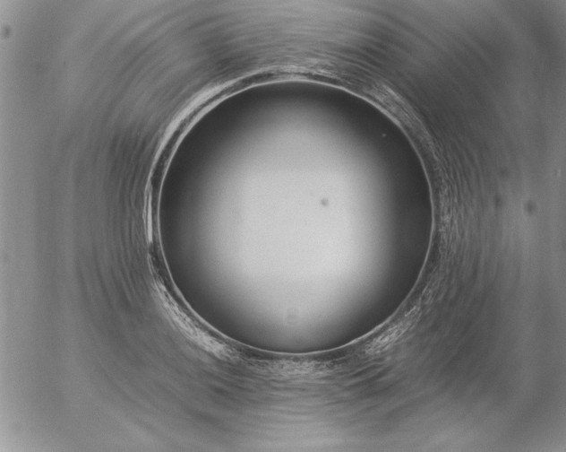 X0000057081036200509091243