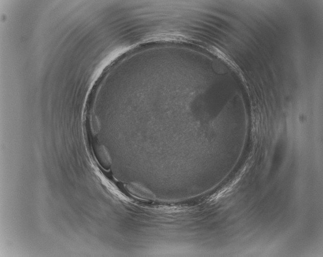 X0000057081037200509091243