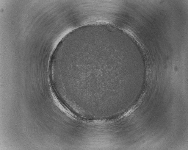 X0000057081038200509091243