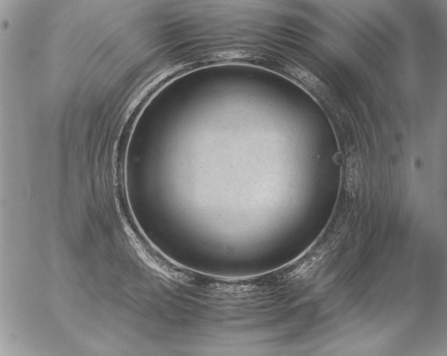 X0000057081039200509091243