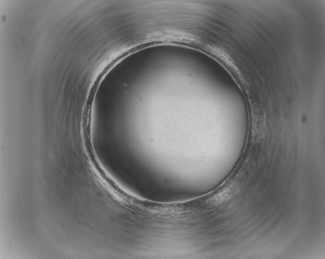 X0000057081040200509091243