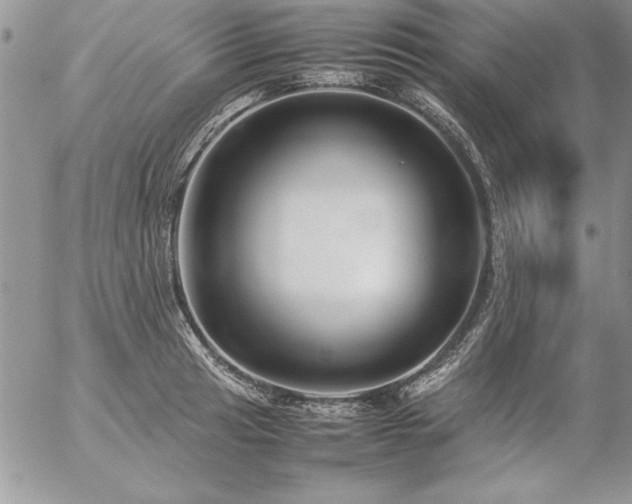 X0000057081041200509091243