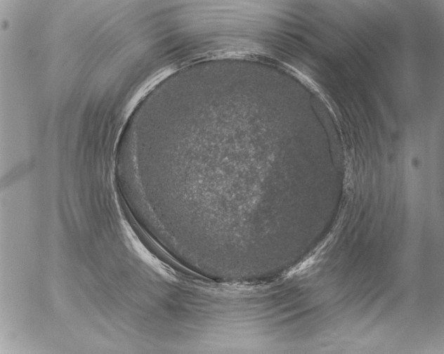 X0000057081042200509091243