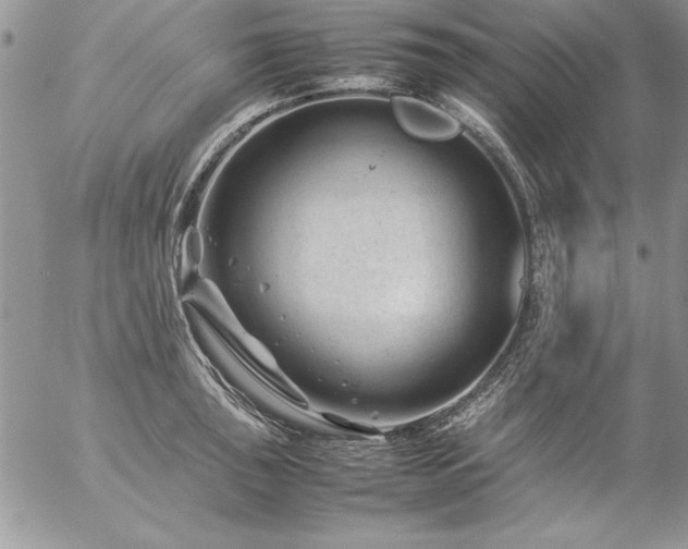 X0000057081043200509091243