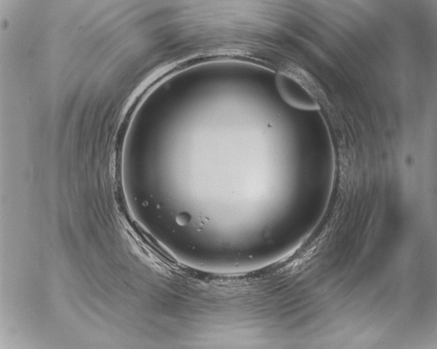 X0000057081044200509091243