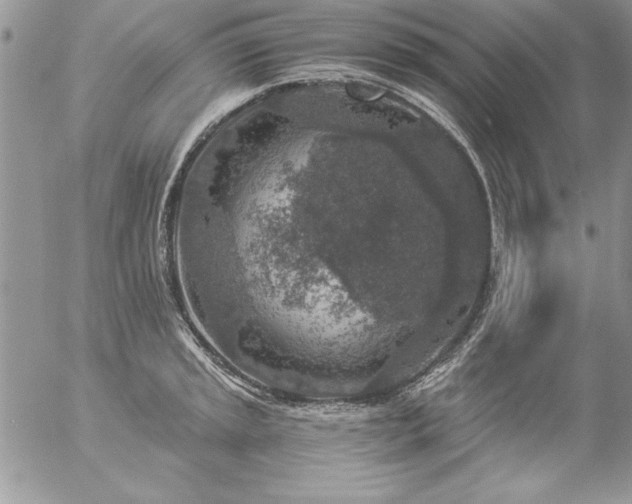 X0000057081045200509091243