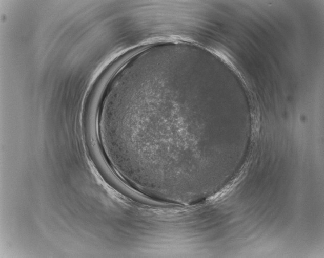 X0000057081046200509091243