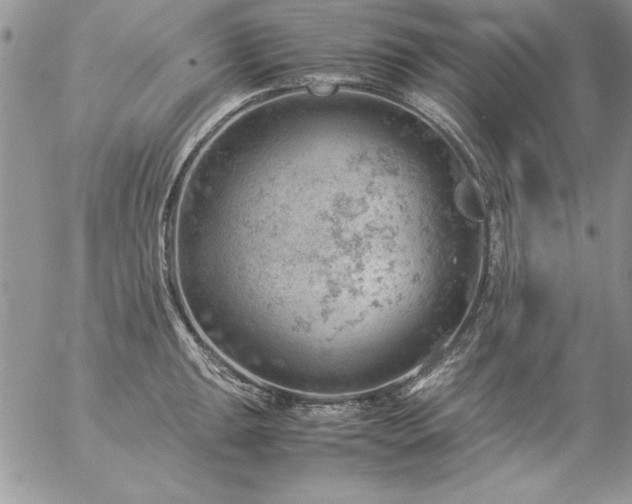 X0000057081047200509091243