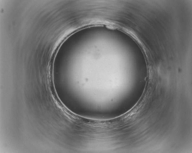 X0000057081048200509091243