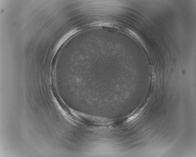 X0000057081050200509091243