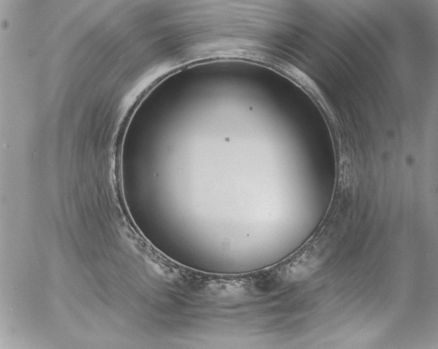 X0000057081051200509091243