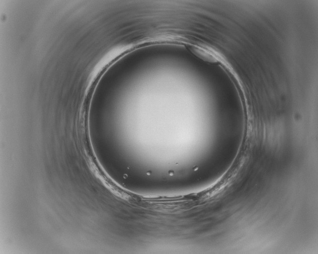 X0000057081053200509091243