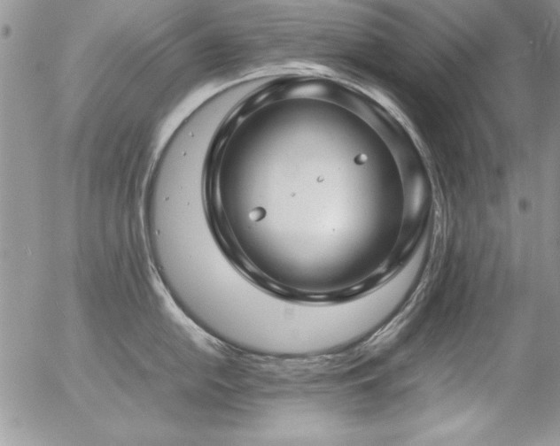 X0000057081054200509091243