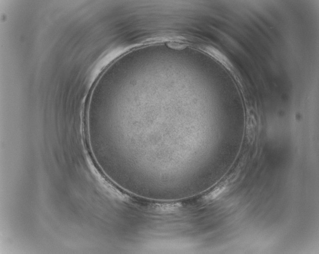 X0000057081055200509091243