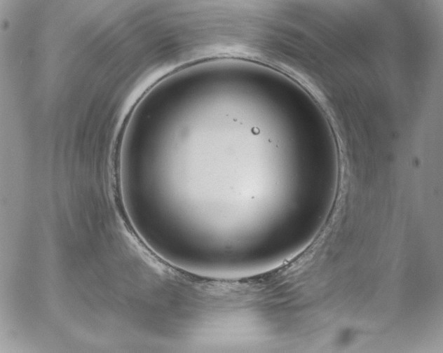 X0000057081056200509091243