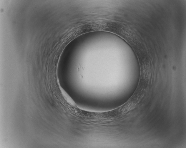 X0000057081057200509091242