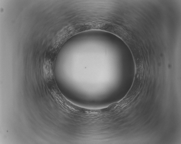 X0000057081058200509091242