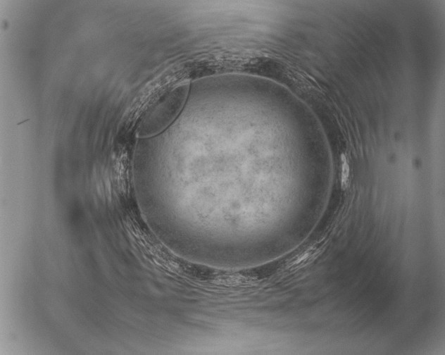 X0000057081059200509091242